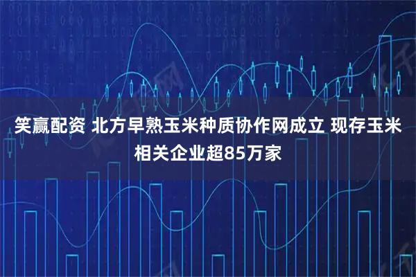 笑赢配资 北方早熟玉米种质协作网成立 现存玉米相关企业超85万家